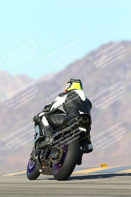 media/Jan-13-2024-SoCal Trackdays (Sat) [[9c032fe5aa]]/Turn 9 Backside (110pm)/